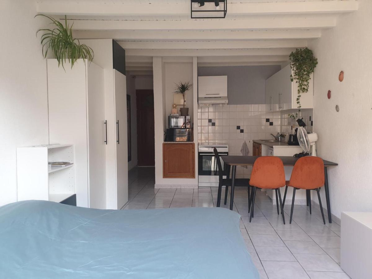 Studio Tout Confort Centre Ville - Balcon, Clim, Tv, Wifi Mazan Εξωτερικό φωτογραφία