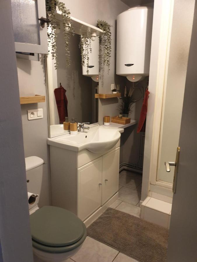 Studio Tout Confort Centre Ville - Balcon, Clim, Tv, Wifi Mazan Εξωτερικό φωτογραφία
